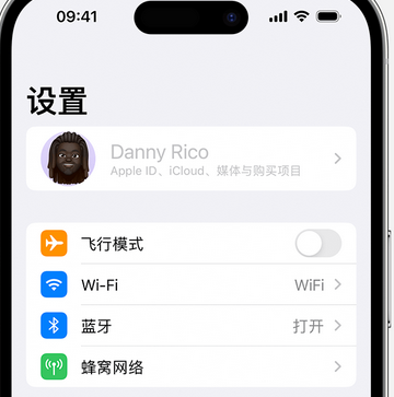 桥头镇appleID维修服务iPhone设置中Apple ID显示为灰色无法使用 