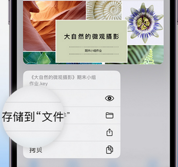 桥头镇apple维修中心分享iPhone文件应用中存储和找到下载文件