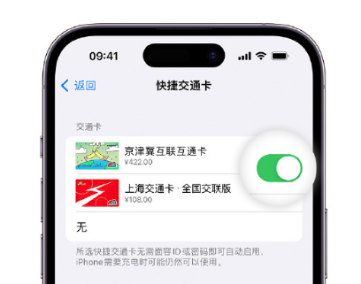 桥头镇apple维修点分享iPhone上更换Apple Pay快捷交通卡手绘卡面 