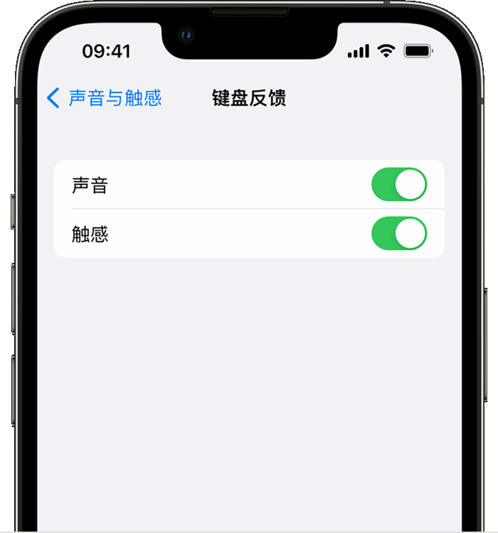 桥头镇苹果14维修店分享如何在 iPhone 14 机型中使用触感键盘 