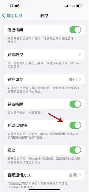 桥头镇苹果手机维修分享iPhone手机如何设置摇一摇删除文字 