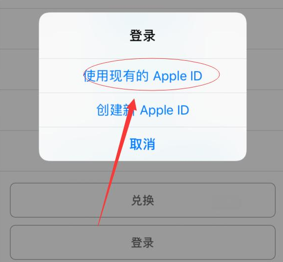 桥头镇苹果手机维修分享两台iPhone设备可以同时登录一个Apple ID吗 