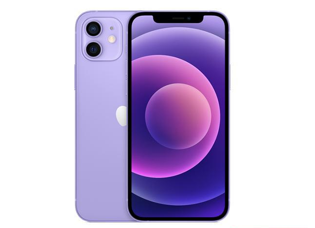 桥头镇苹果手机维修分享现阶段要不要入手紫色版iPhone12 