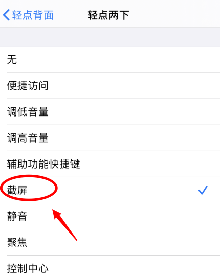 桥头镇苹果手机维修分享iPhone12如何启用双击截屏 