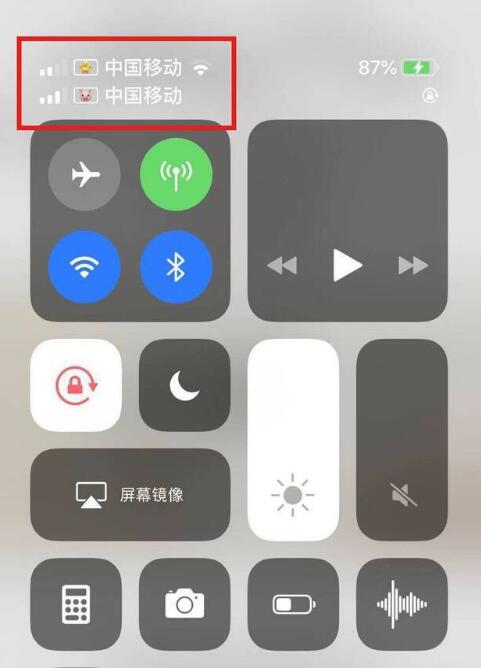 桥头镇苹果手机维修分享为 iPhone 12 双卡设置标签 