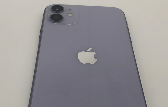 桥头镇苹果11系统维修分享iPhone11手机系统崩溃无法开机如何解决 
